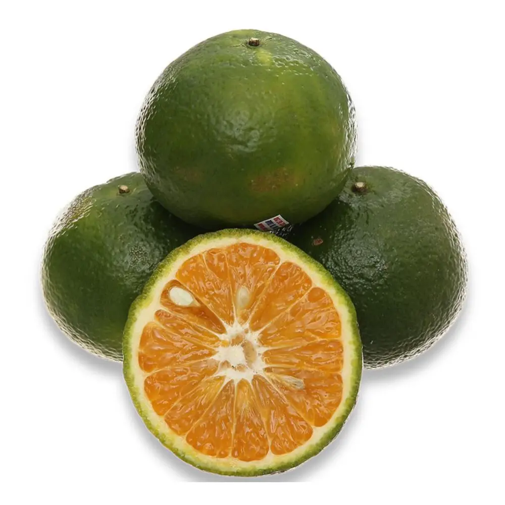 Cam Sành Loại 1 - Vietnamese King Orange - MEKO STAR