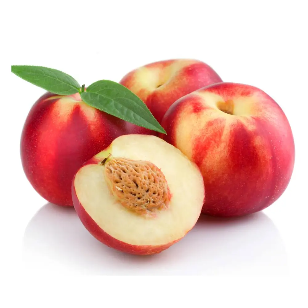 Xuân Đào Úc - Australian White Nectarine - TOP CROP STONEFRUIT