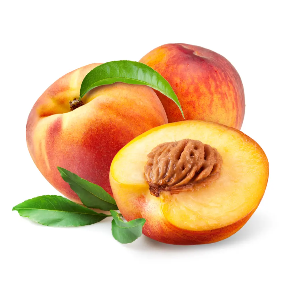 Đào Úc - Australian Candy Princess Yellow Peach - GOLDEN DRAGON