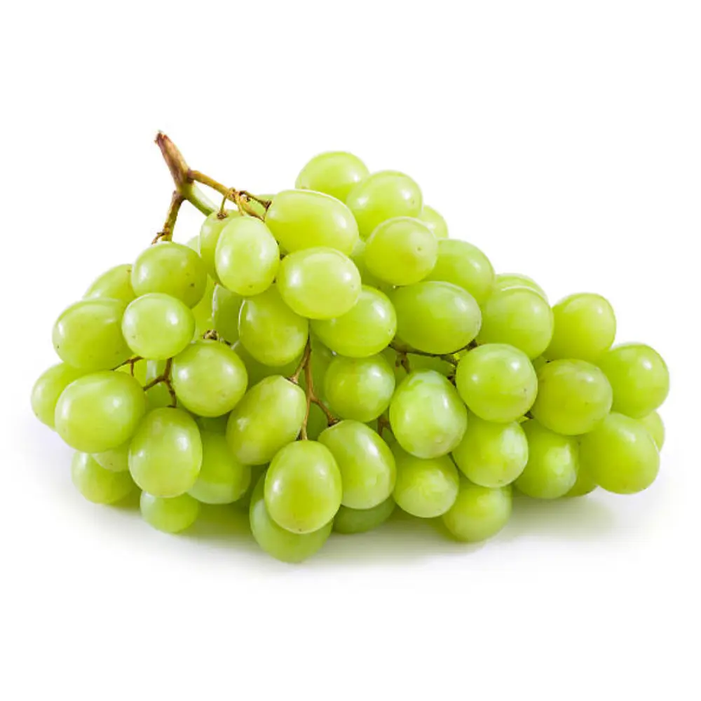 Nho Xanh Không Hạt Úc - White Delight - Australian Ivory Green Seedless Grapes - CORDOMA