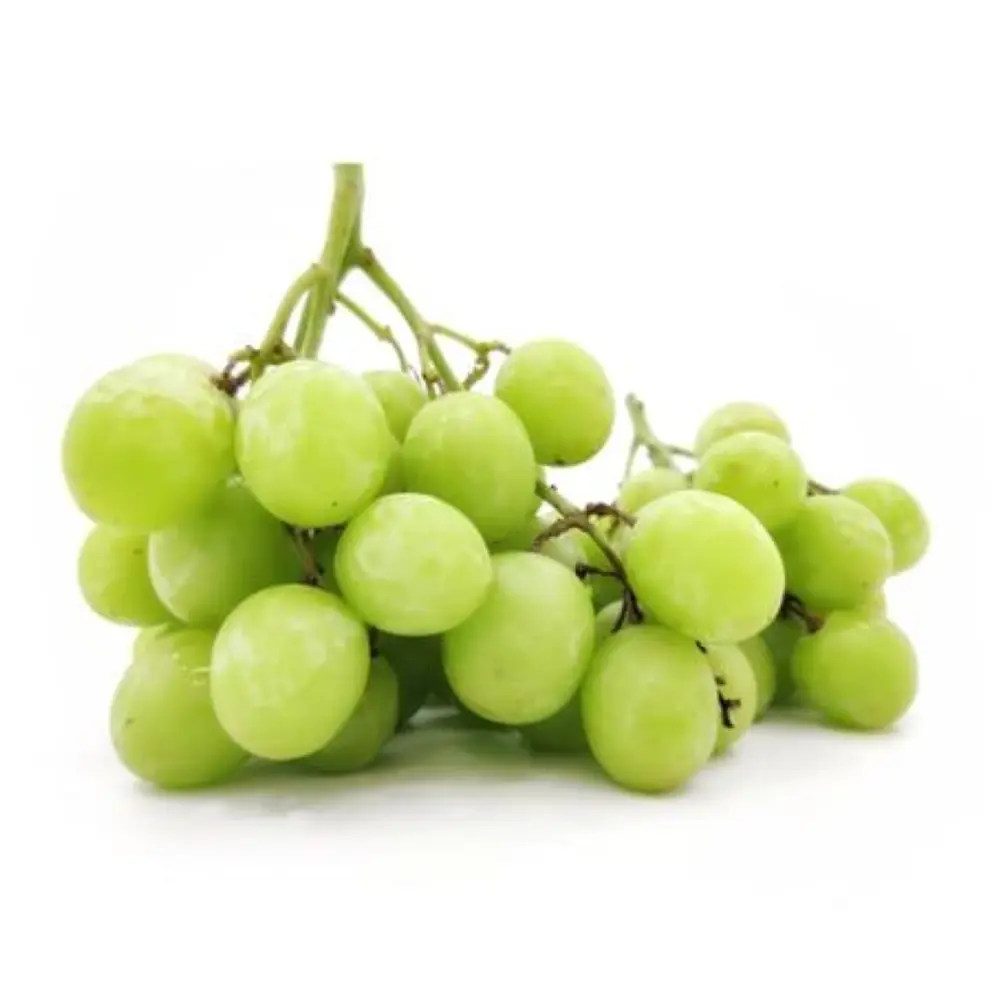 Nho Xanh Không Hạt Úc - Hellooo - Sugrafiftyone Green Seedless Grapes - GRAPE CO AUSTRALIA