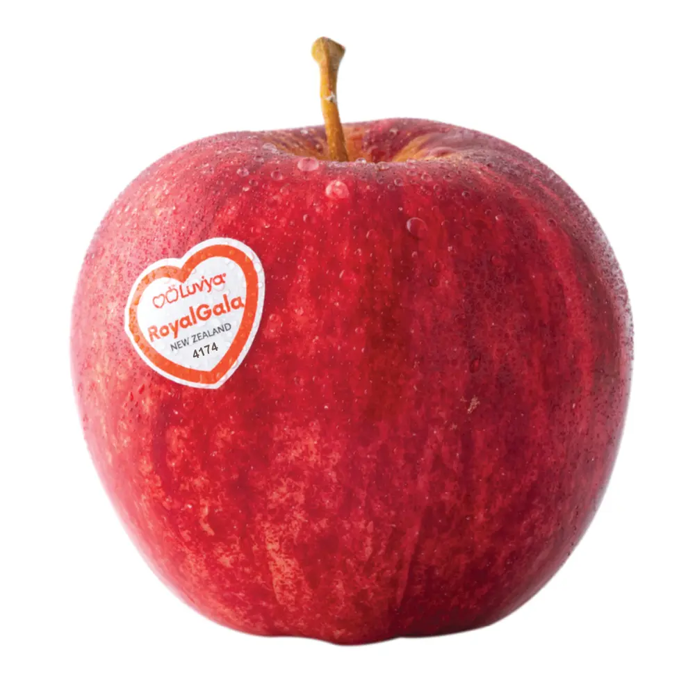 Táo Đỏ New Zealand - Royal Gala - New Zealand Red Apple - Size 90 - LUV'YA