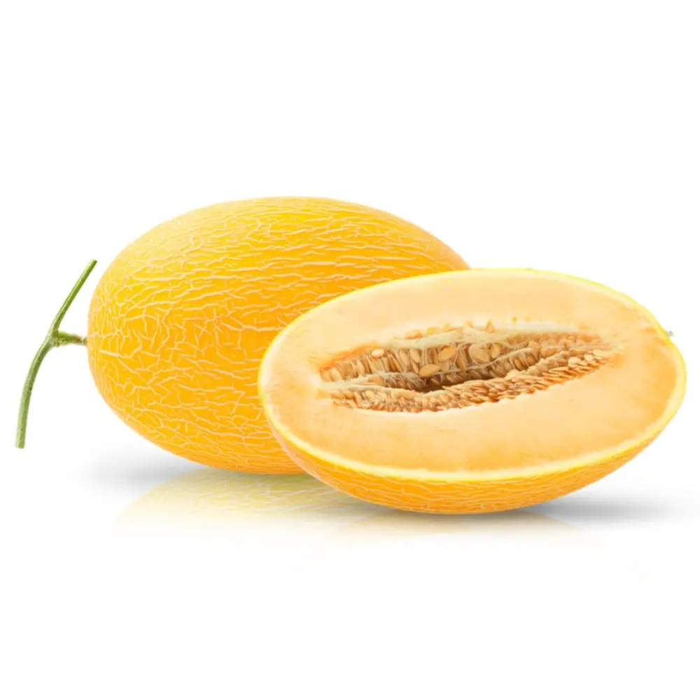Dưa Lưới Vỏ Vàng Ruột Cam - Pansy - Sungold Musk Melon - Size L - SOLEIL FARM