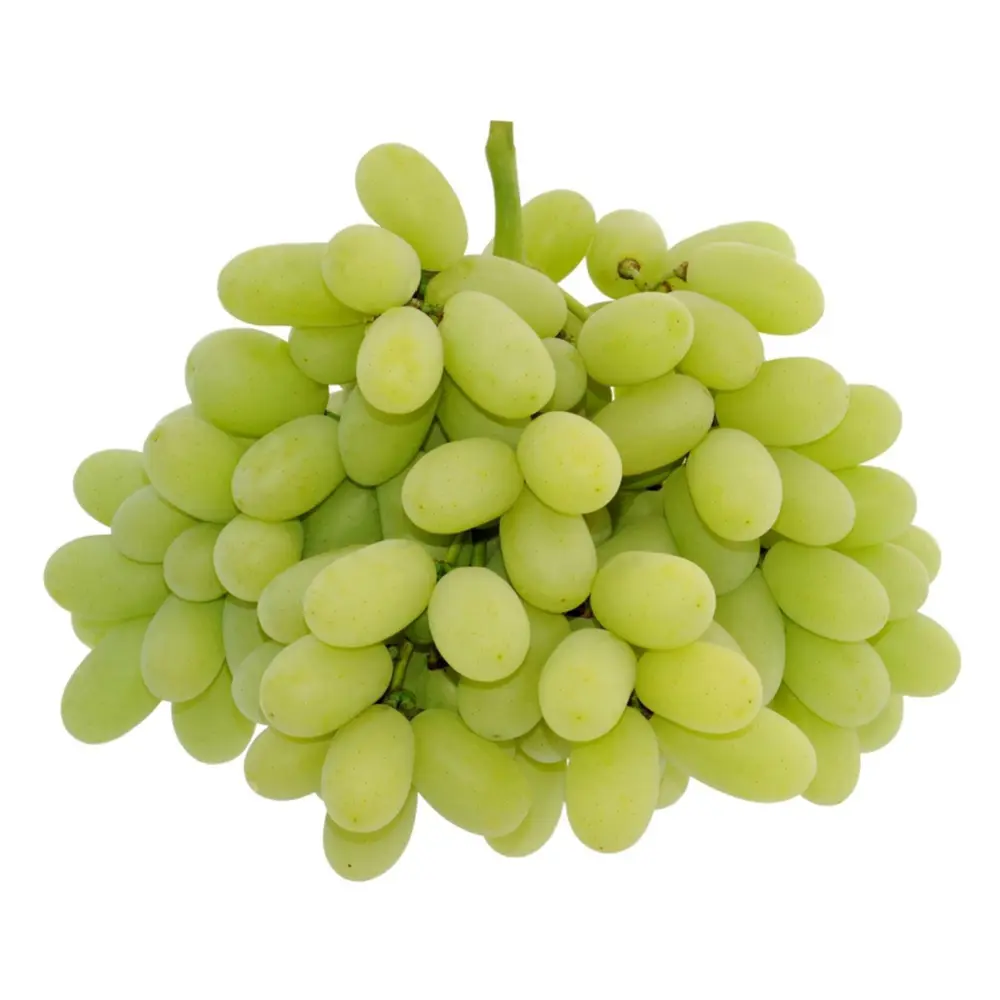 Nho Xanh Không Hạt Úc - Hellooo - Sugar Crisp Green Seedless Grapes - GRAPE CO AUSTRALIA
