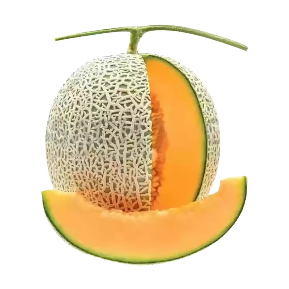 Dưa Lưới Taki Ruột Cam - Taki Cantaloupe - OCOP