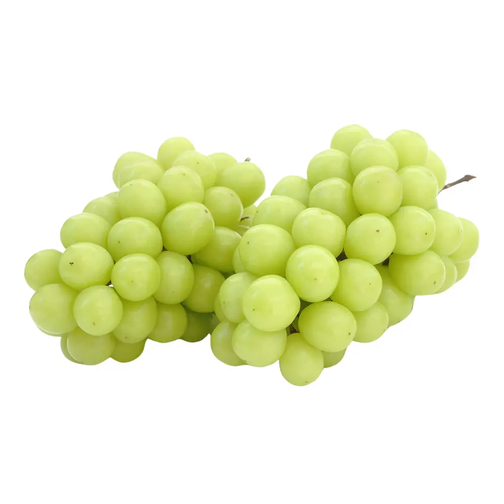 Nho Mẫu Đơn Trung Quốc - Premium Shine Muscat (500g) - GENERIC