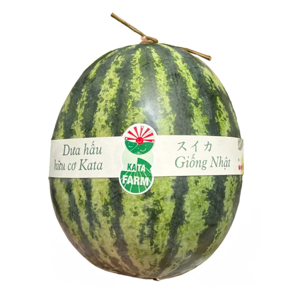 Dưa Hấu Giống Nhật Hữu Cơ - Organic Japanese Watermelon - KATA FARM HUB