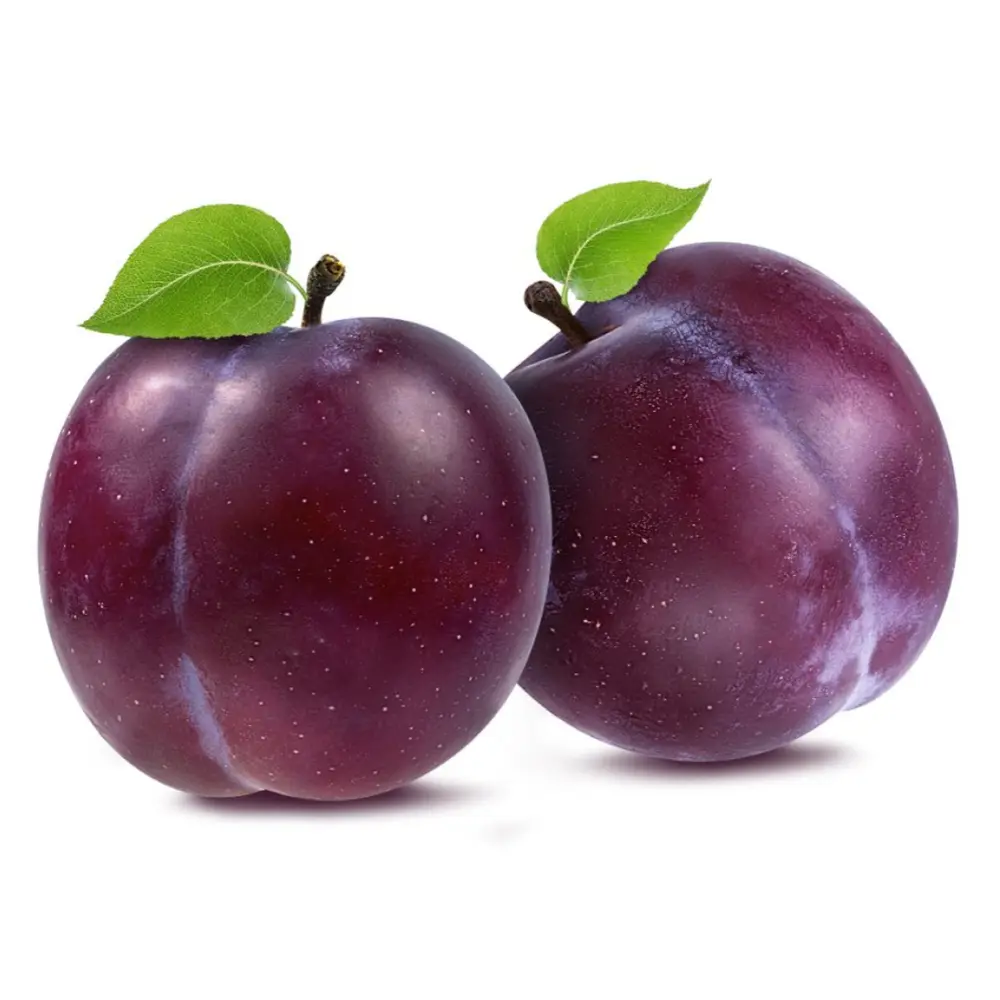 Mận Mỹ -  Flavor Fall - Interspecific Plum - FAMILY TREE FARMS
