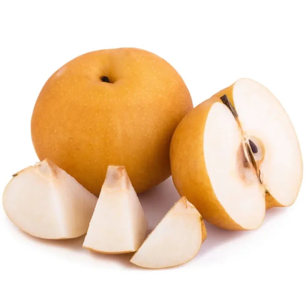 Lê Trung Quốc - Singo - Chinese Pear - JOLIE FRUIT