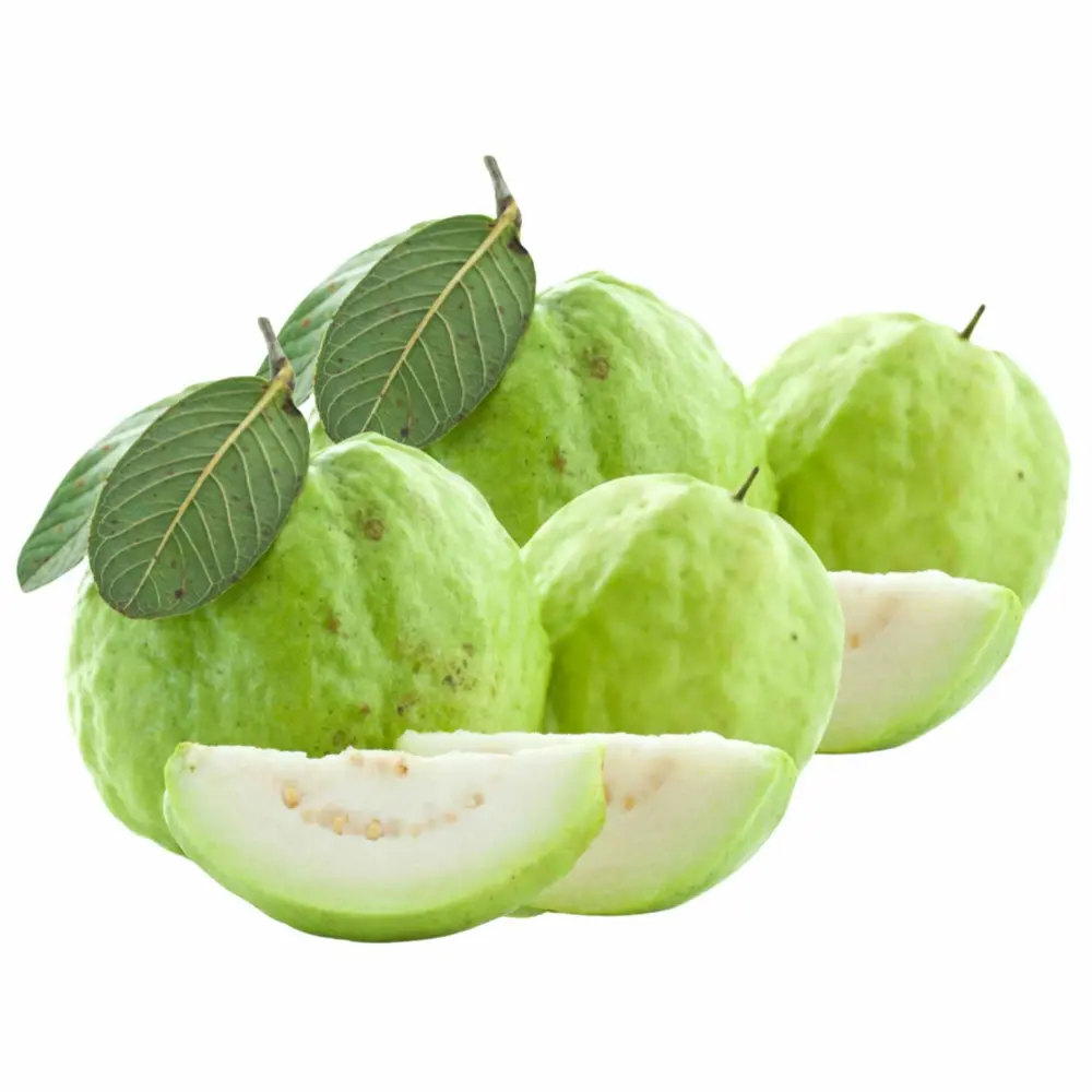 Ổi Giống Đài Loan - Taiwanese Guava - OCOP