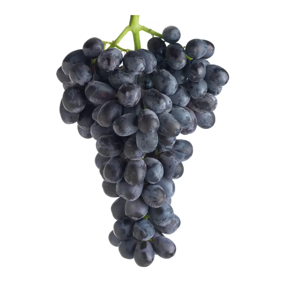 Nho Đen Không Hạt Úc - Hellooo - Midnight Beauty Black Seedless Grapes - GRAPE CO AUSTRALIA