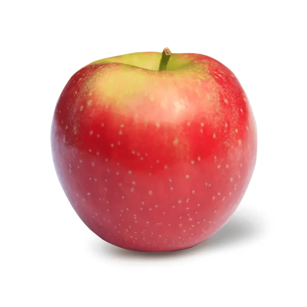 Táo Đỏ Mỹ - Monster Crunch - US Red Apple - SNAP DRAGON