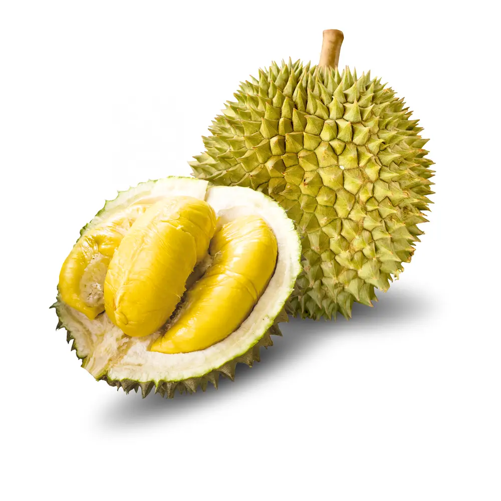 Sầu Riêng Musang King Sạch Chín Cây Không Bao Ăn - Whole Durian - AN