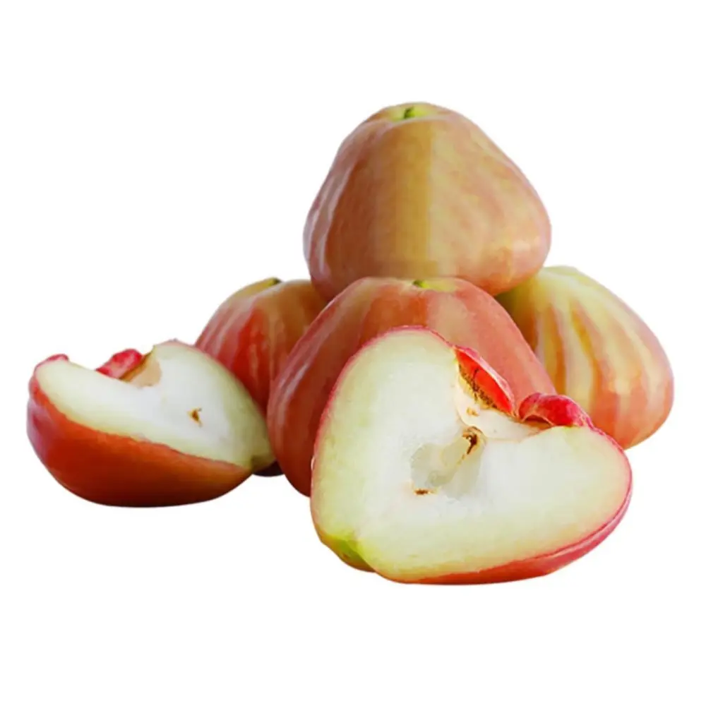 Mận Cắt Sẵn - Fresh Cut Rose Apple - OCOP