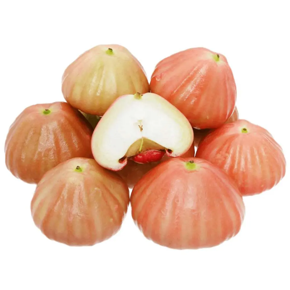Mận Hồng Đào Đá - Rose Apple - OCOP
