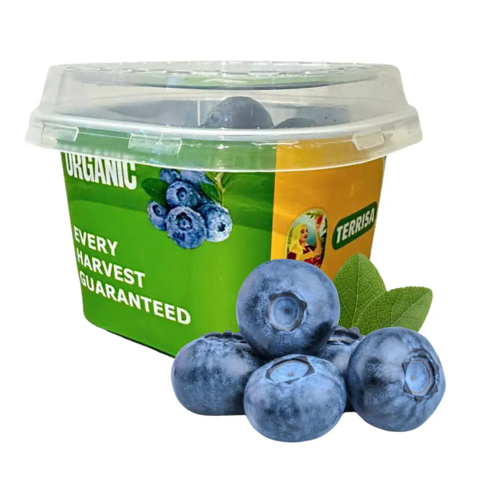 Việt Quất Mỹ Hữu Cơ - Organic Blueberries (55g) - TERRISA