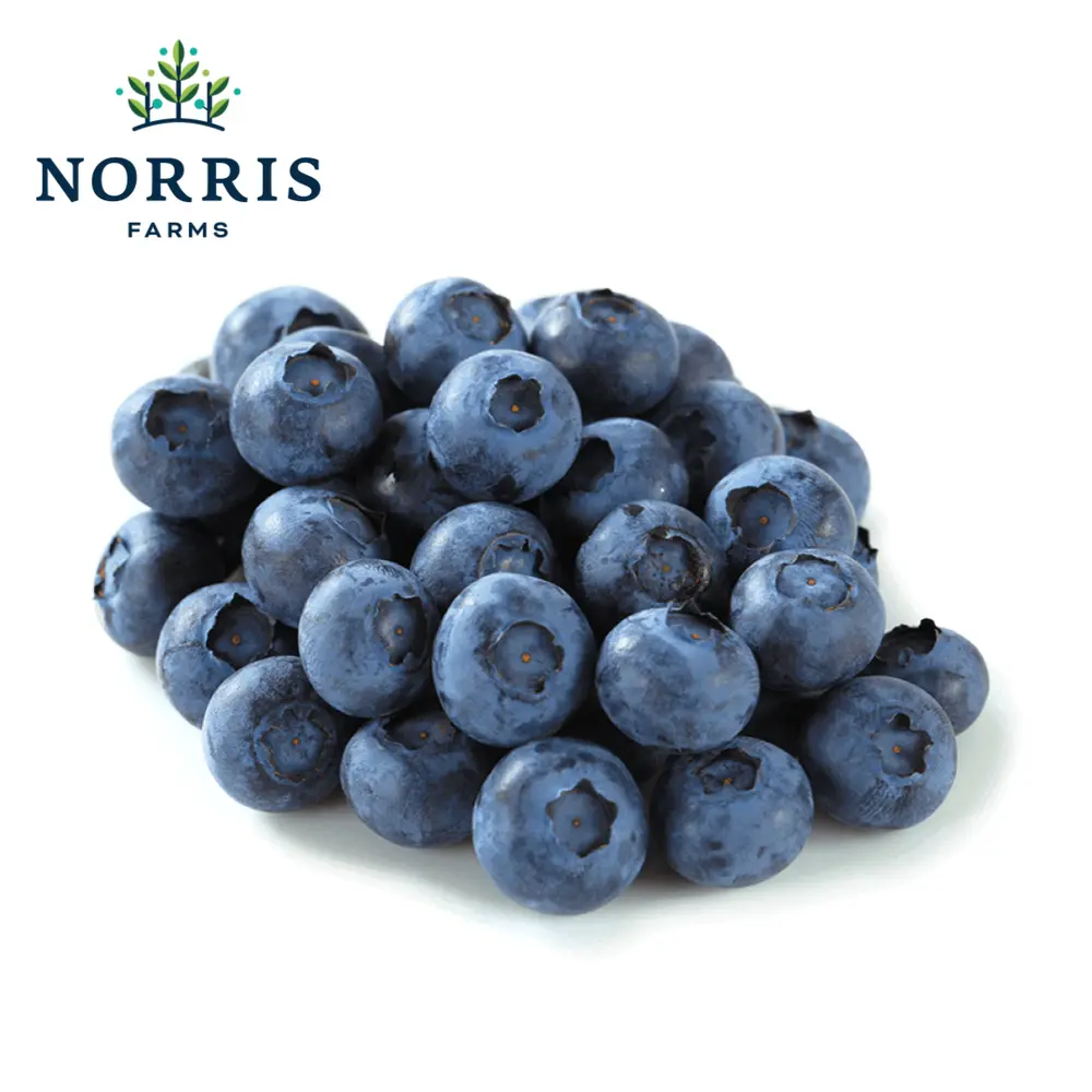 Việt Quất Mỹ - Fresh Blueberries - 4.4 oz (125g) - NORRIS FARMS