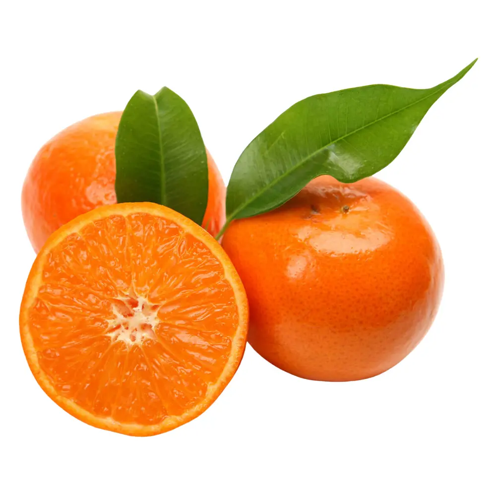 Quýt Mật Úc - Royal Honey Murcott - Premium Australian Mandarin - HANSEN TASMANIA
