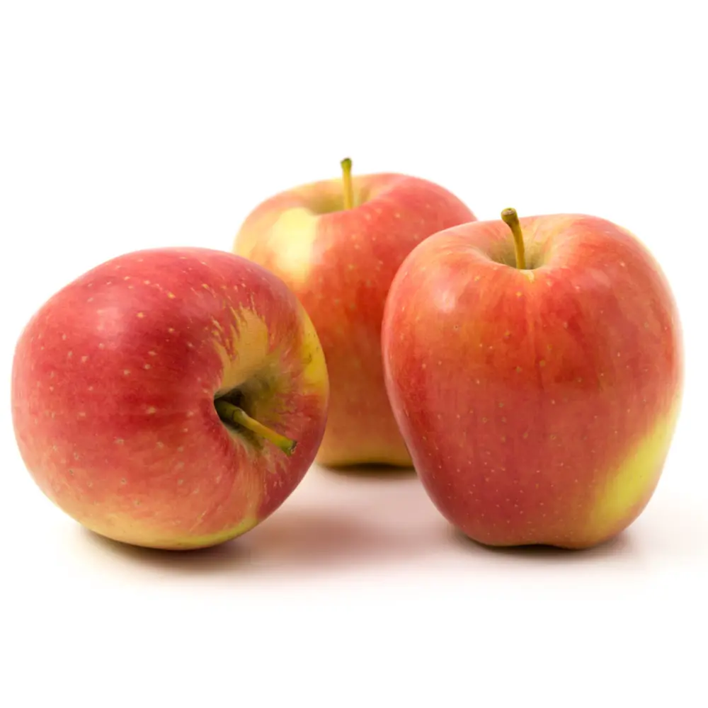 Táo Đỏ Canada - Ambrosia - Canadian Red Apple - Size 64 - SMILING BUDDHA