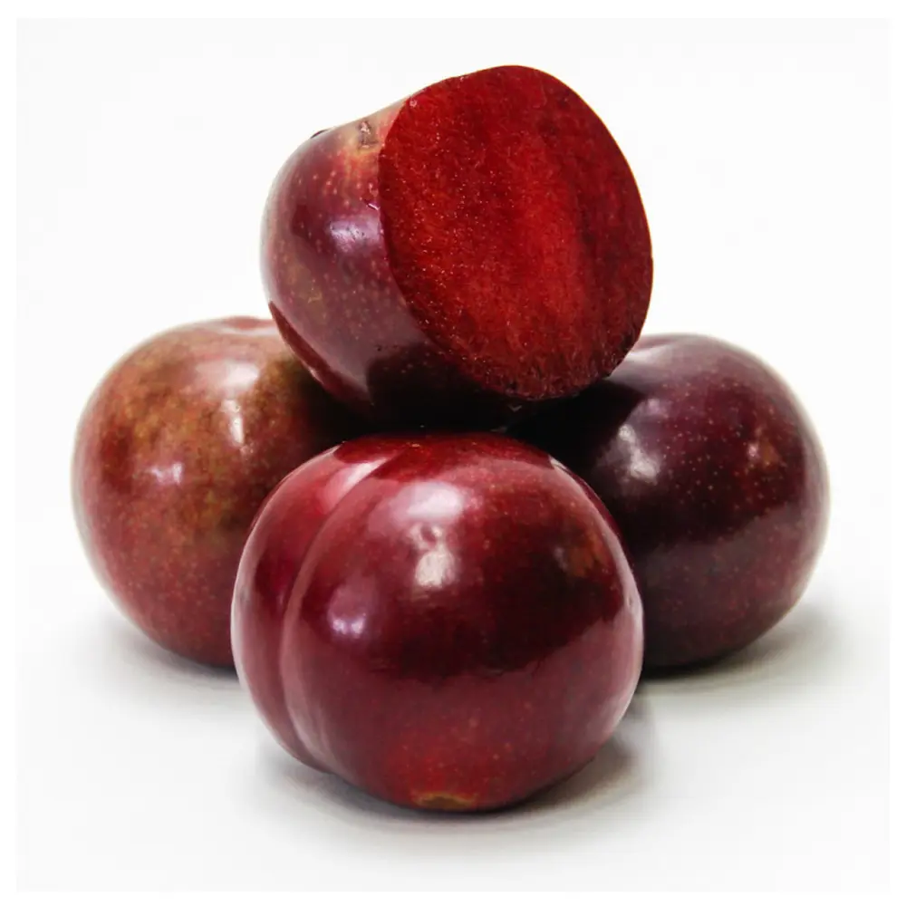 Mận Đỏ Úc - Festival Red - Australian Plum - V.F. SICILIANO & SONS
