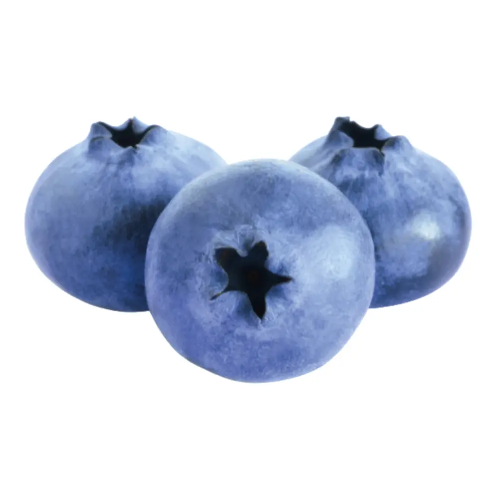 Việt Quất New Zealand - Blueberries - Class 1 - 4.4 oz (125g) - BESBEVE