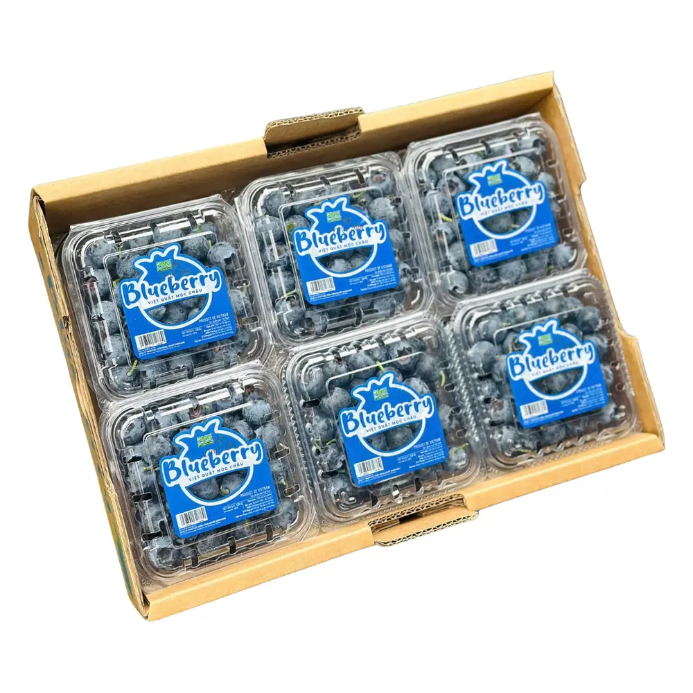 Việt Quất Mộc Châu - Blueberry (125g) - PNG GREENLAND