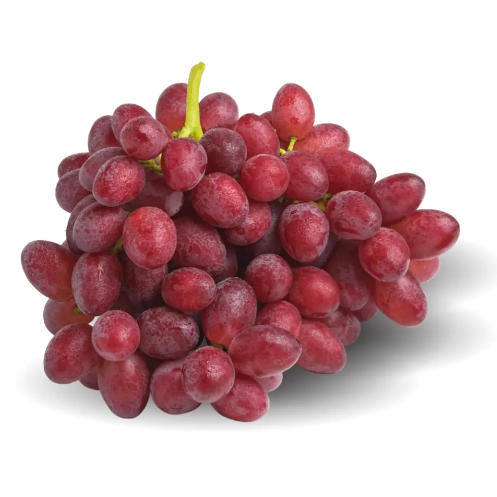 Nho Đỏ Không Hạt Úc - Ruby Rush - Red Seedless Grapes - RJN CUA VINEYARDS