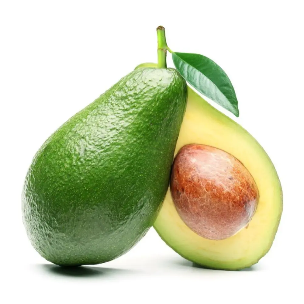 Bơ Sáp - Avocado - NONG SAN CHI HUONG