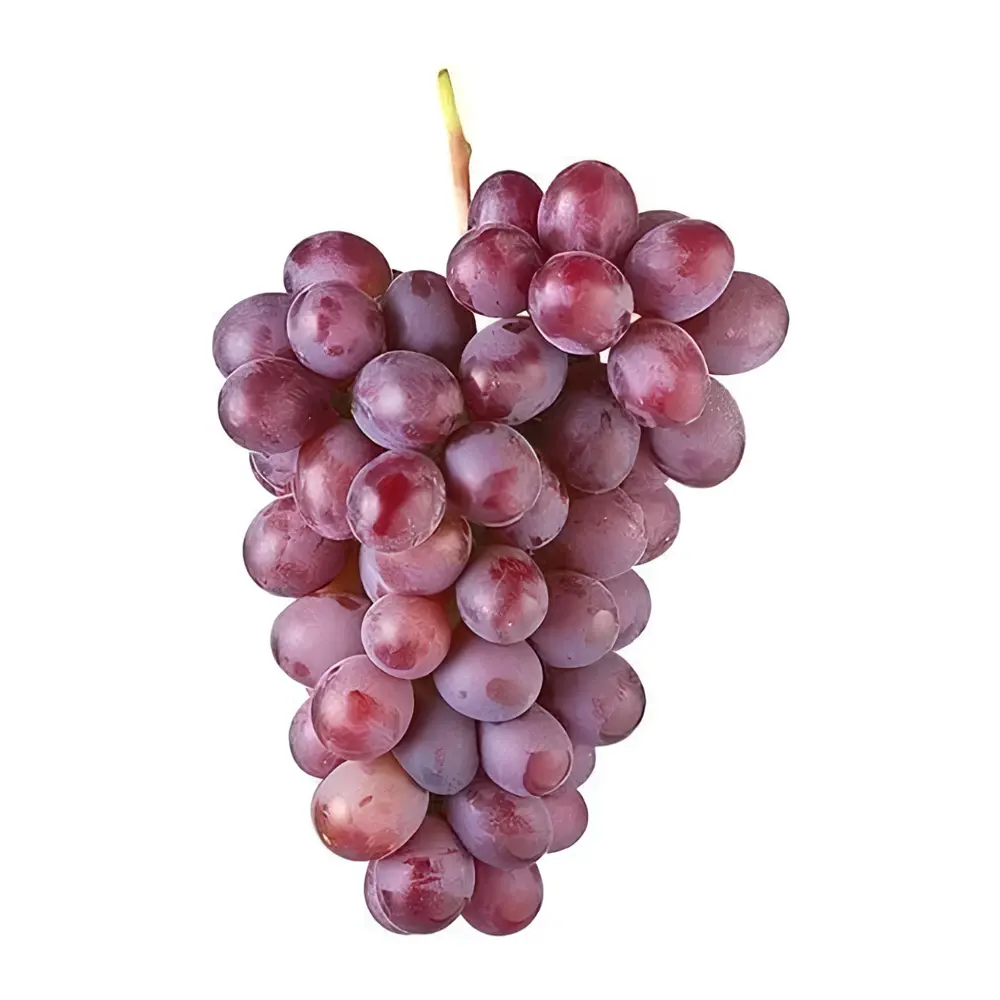 Nho Đỏ Không Hạt Úc - Crimson Seedless - Australian Premium Red Table Grapes - GERVASI