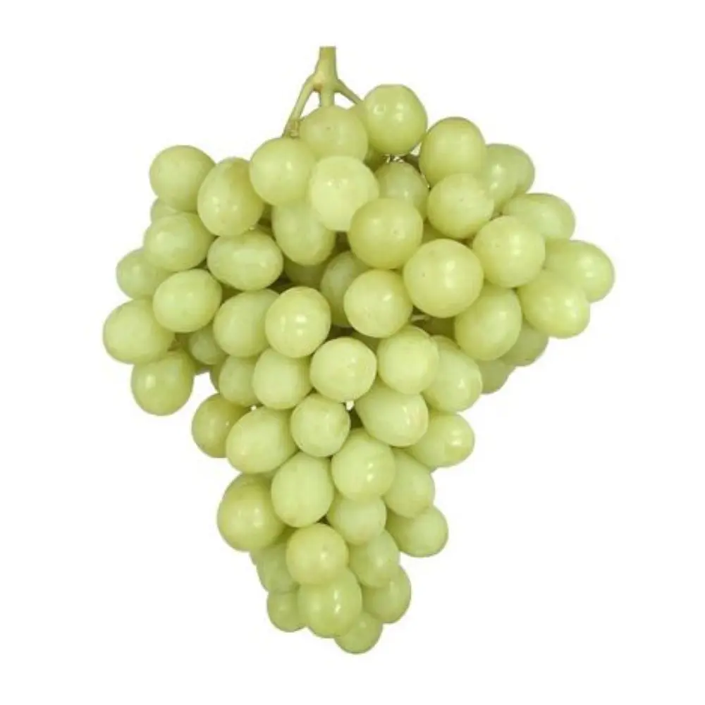 Nho Xanh Không Hạt Mỹ - Sugraone - Green Seedless Grapes - SUN DIAMONDS