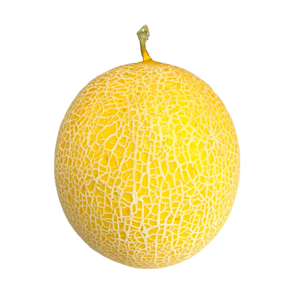Dưa Lưới Canh Tác Hữu Cơ - Organically Grown Musk Melon - NONBRAND