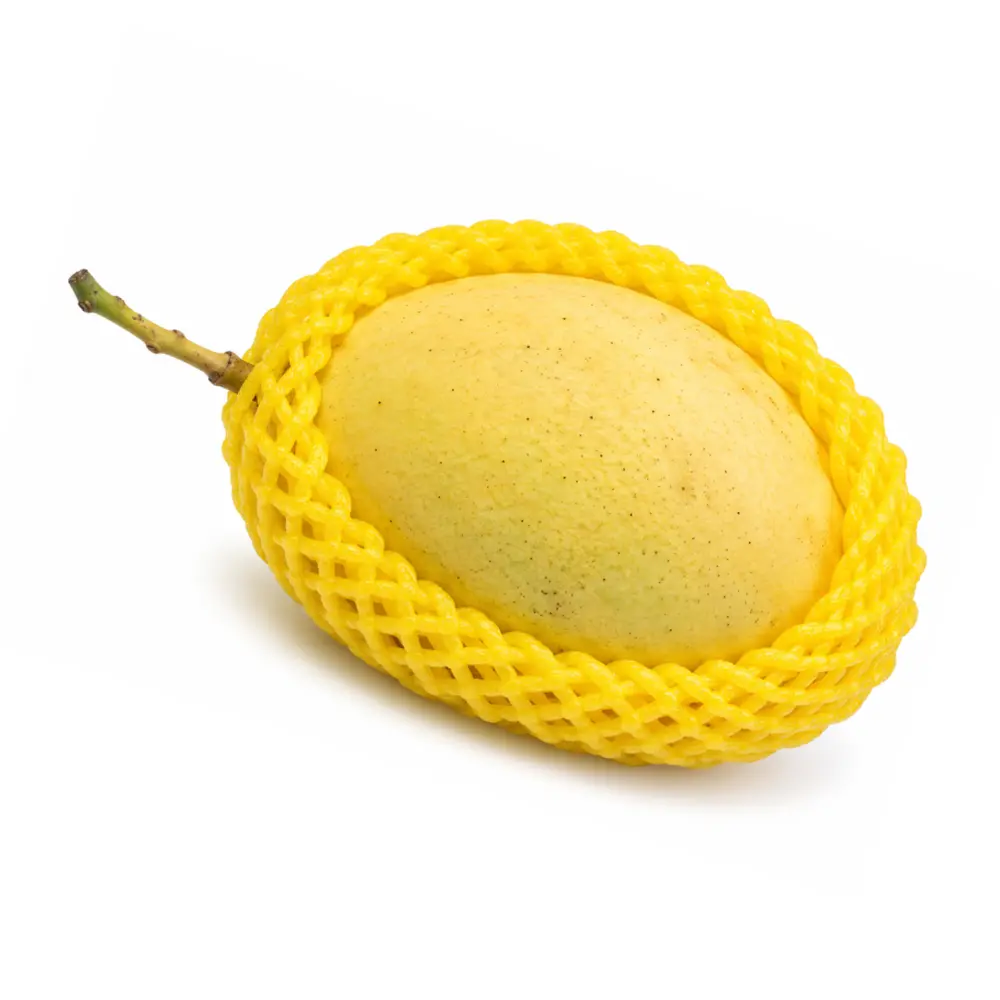 Xoài Cát Chu Vàng - Yellow Cat Chu Mango - KHAI NGUYEN