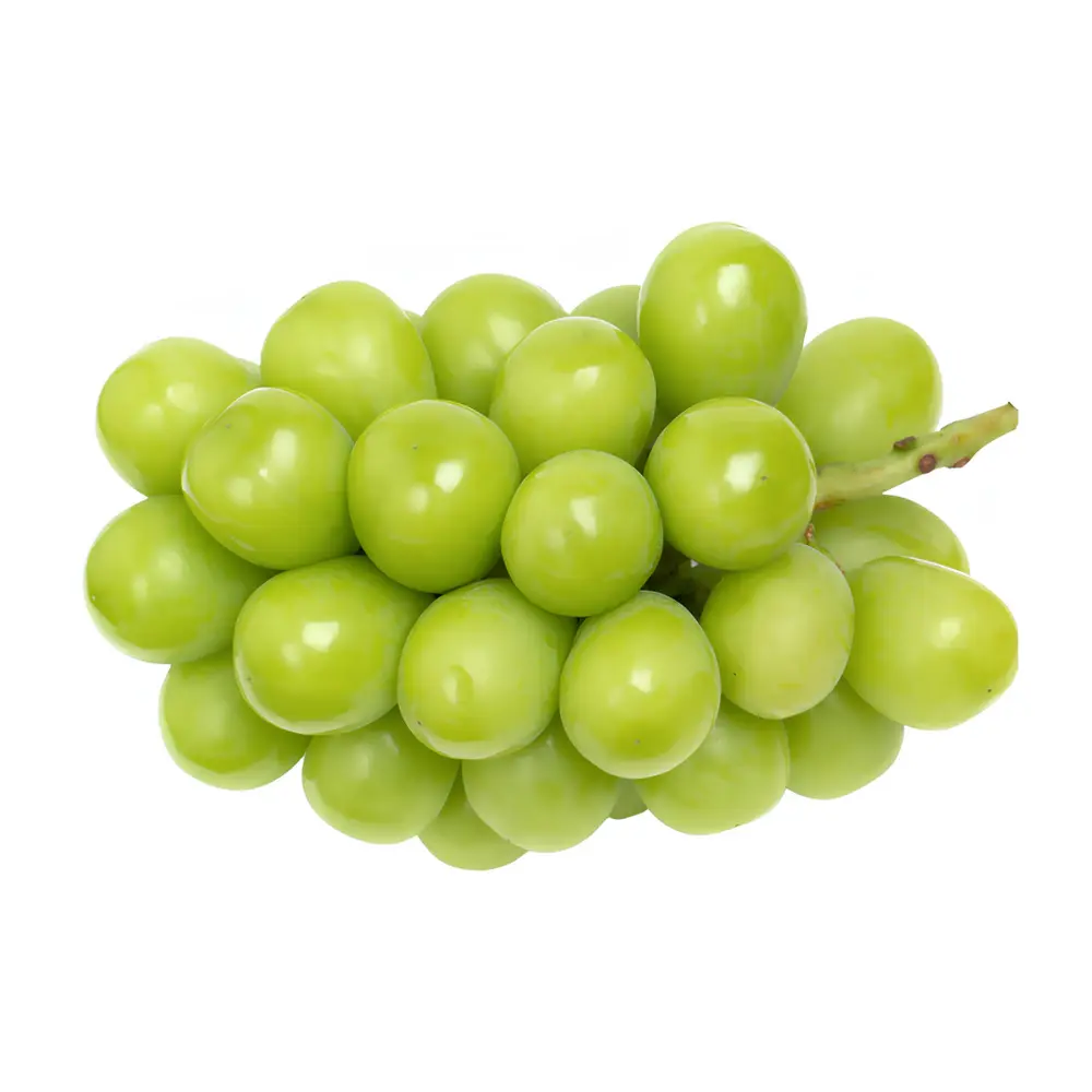 Nho Mẫu Đơn Giống Nhật - Japanese Variety Shine Muscat Grape (800g) - SUNSHINE ROSE