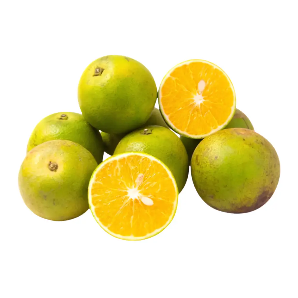 Cam Xoàn - Vietnamese Green Skin Orange - KHAI NGUYEN