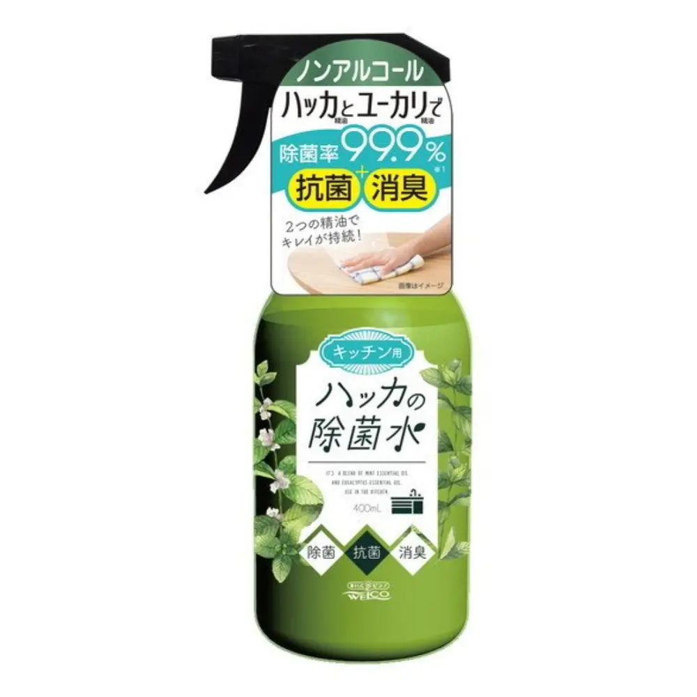 Dung Dịch Vệ Sinh Kháng Khuẩn Khử Mùi, Multi-Purpose Cleaner, Mint (400ml) - WELCO