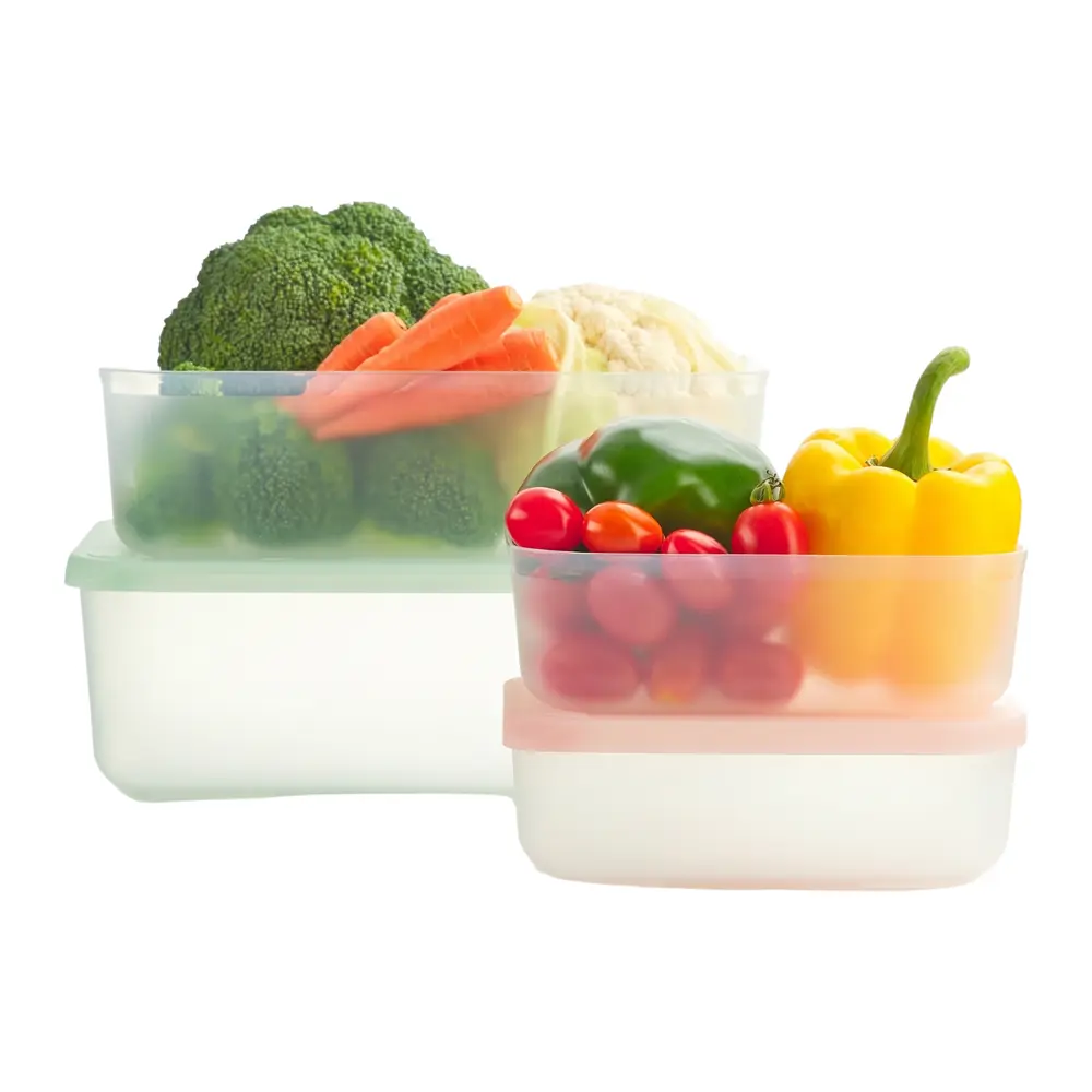 Bộ 4 Hộp Thực Phẩm Trữ Đông, Hokkaido Freezer Container (290ml, 900ml, 2500ml, 3600ml) - INOCHI