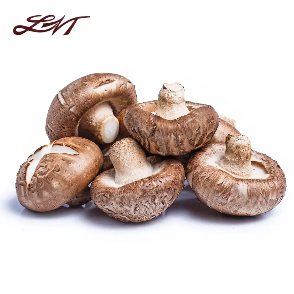 Nấm Đông Cô Nhật - Premium Japan Shiitake Mushroom (200g) - LVT