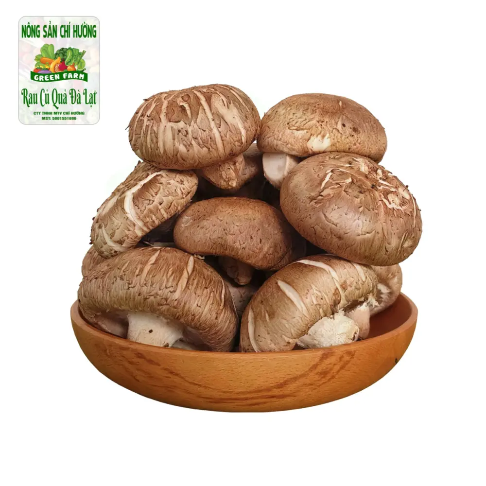 Nấm Đông Cô Tươi - Shiitake Mushroom - NONG SAN CHI HUONG