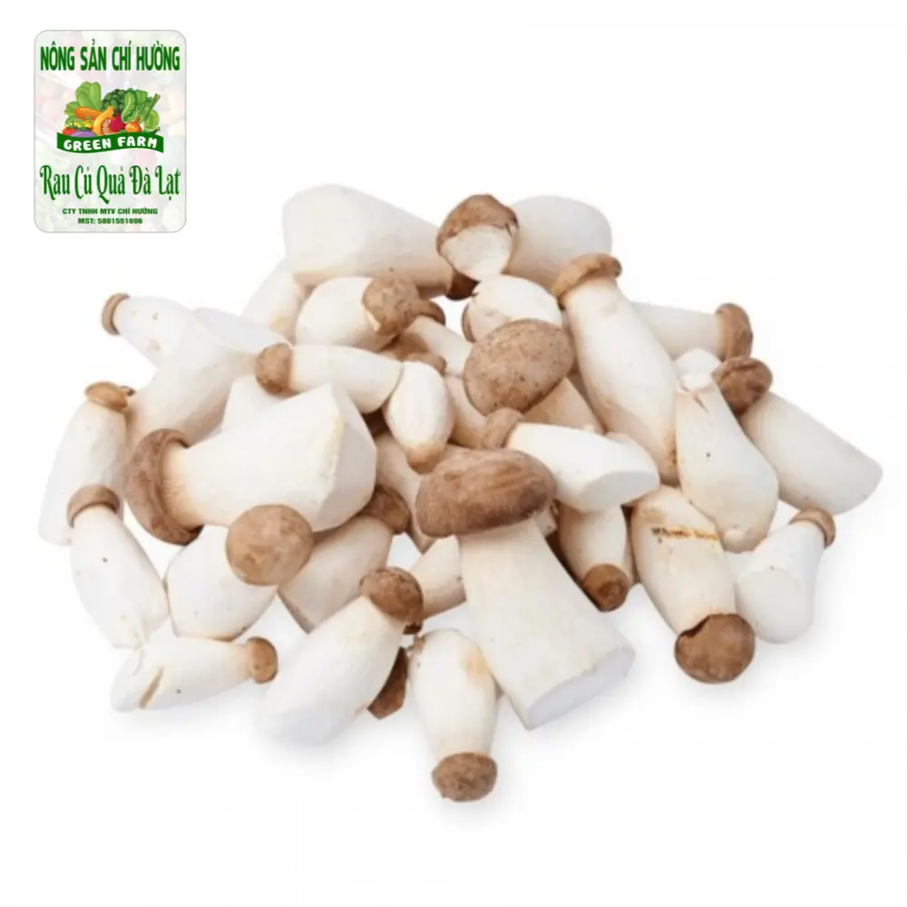 Nấm Đùi Gà Nhỏ - King Oyster Mushroom - Small Size - NONG SAN CHI HUONG