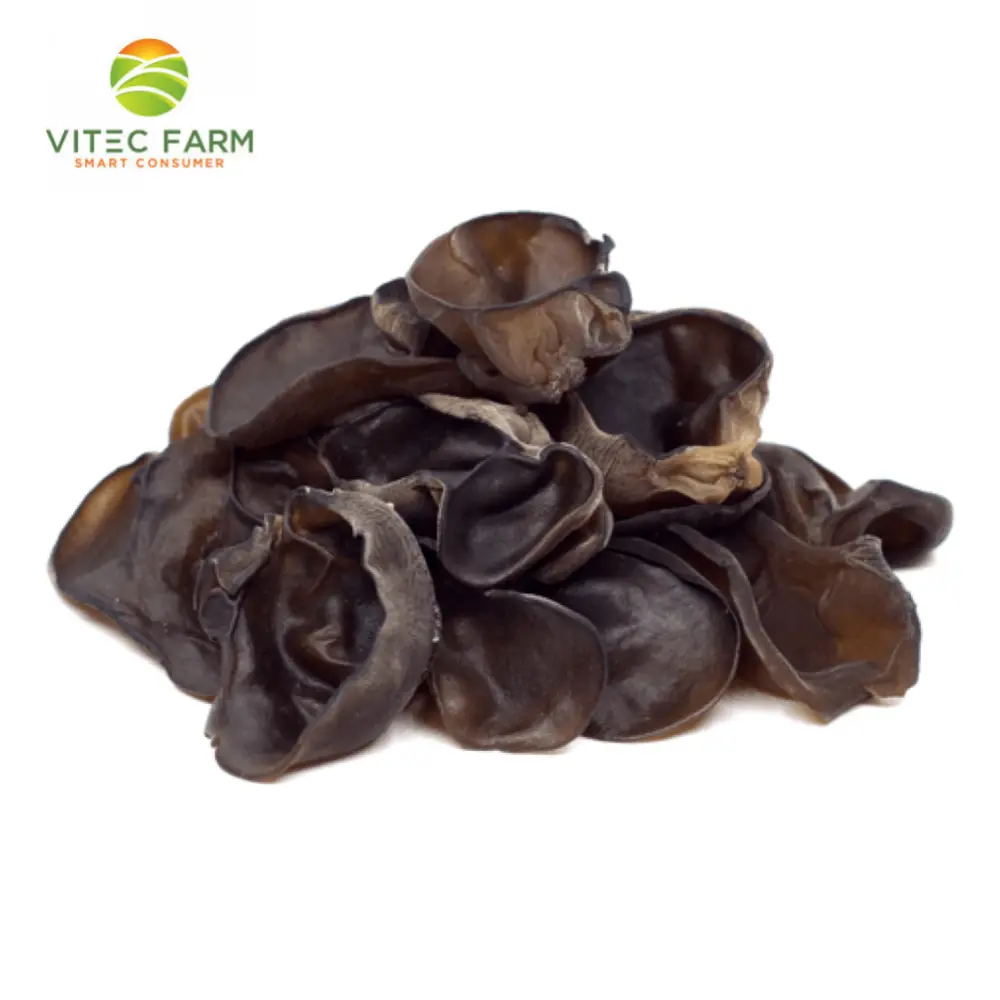Nấm Mèo Tươi (Mộc Nhĩ) - Fresh Fungus (200g) - VITEC FARM