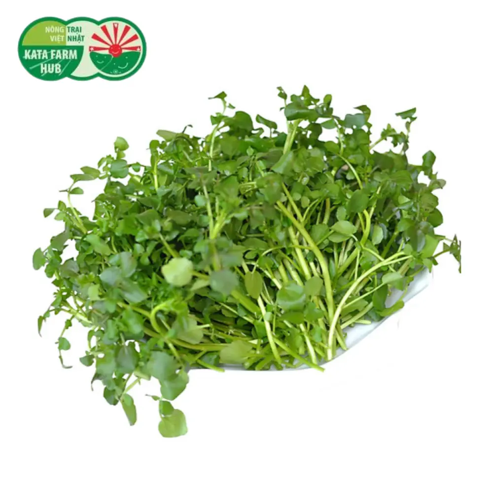 Xà Lách Xoong - Watercress (250g) - KATA FARM HUB