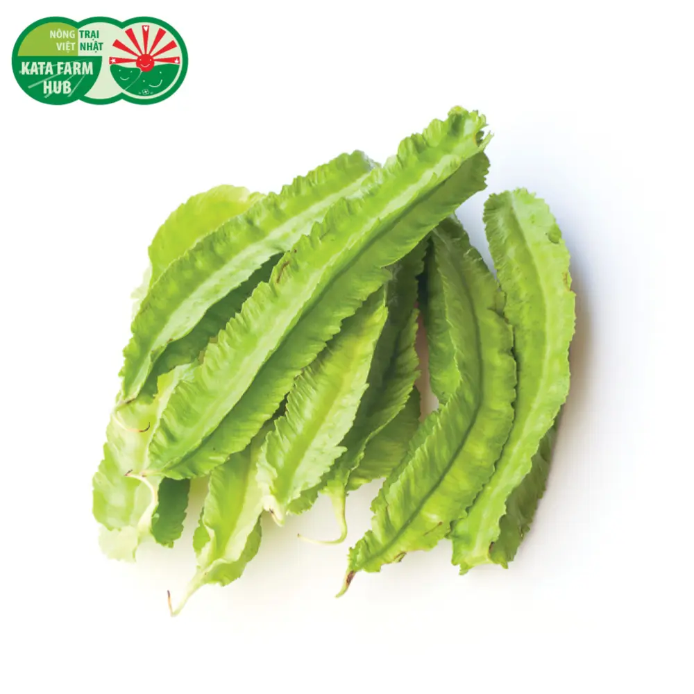 Đậu Rồng - Winged Bean (250g) - KATA FARM HUB