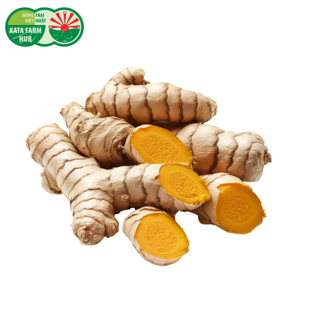 Nghệ - Turmeric (100g) - KATA FARM HUB