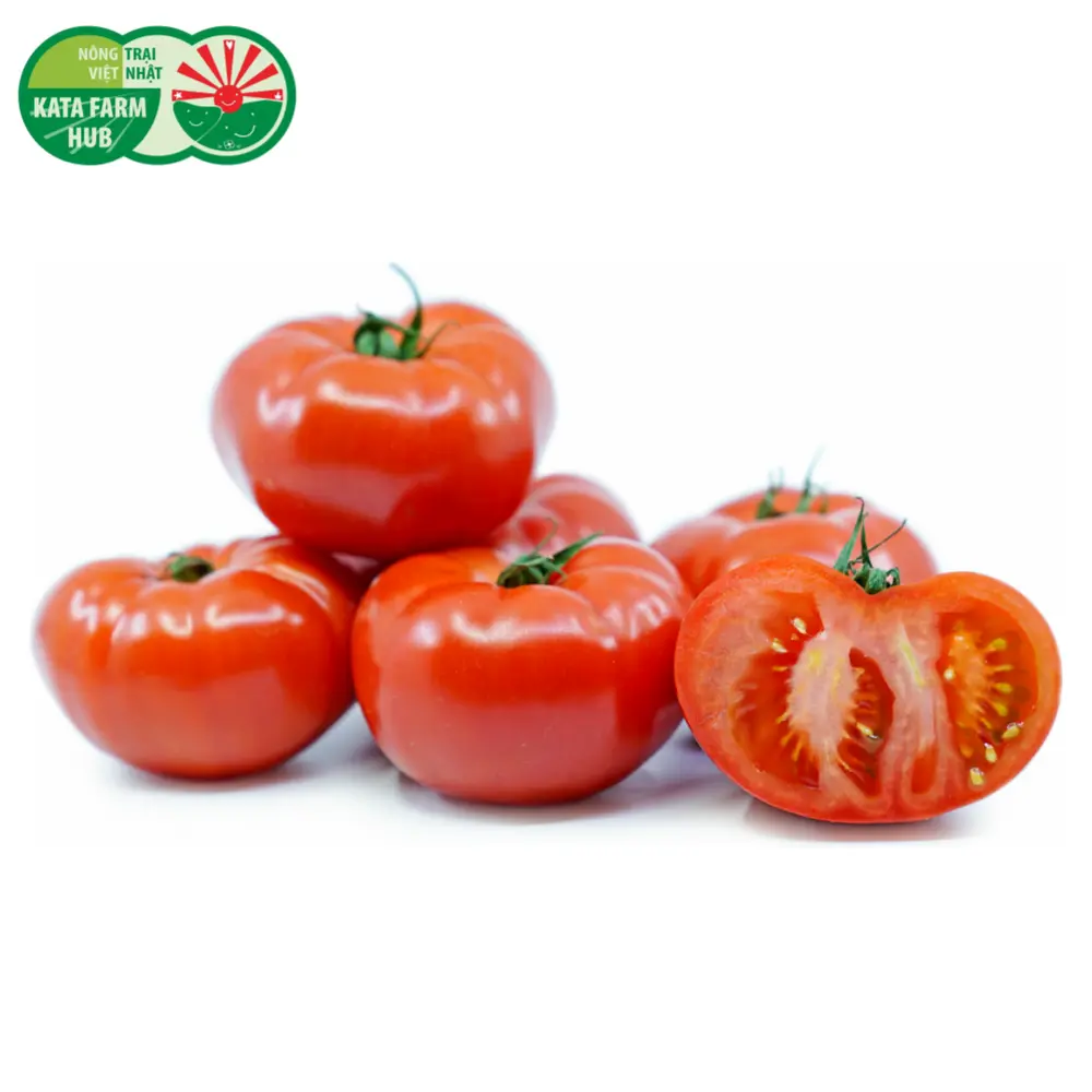 Cà Chua Beef - Big Beef Tomato - KATA FARM HUB