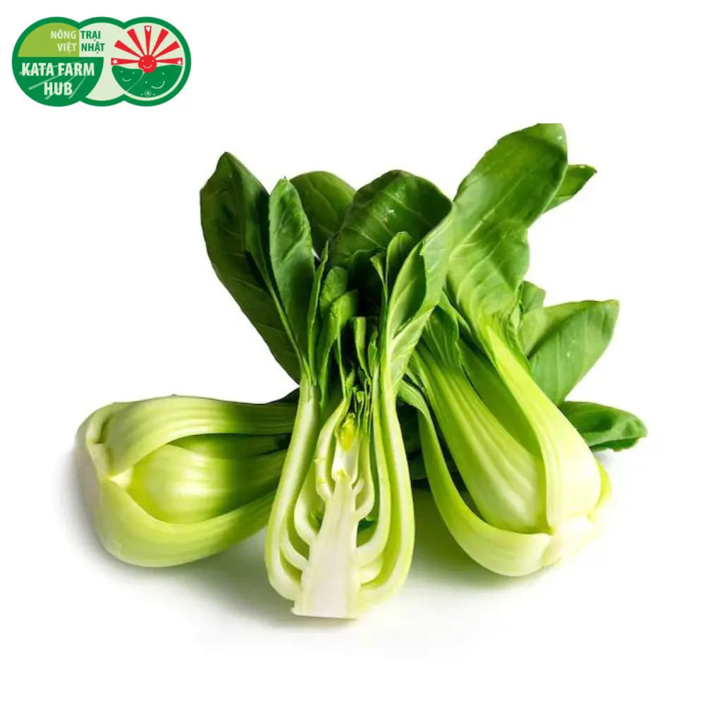 Cải Thìa - Bok Choy - KATA FARM HUB
