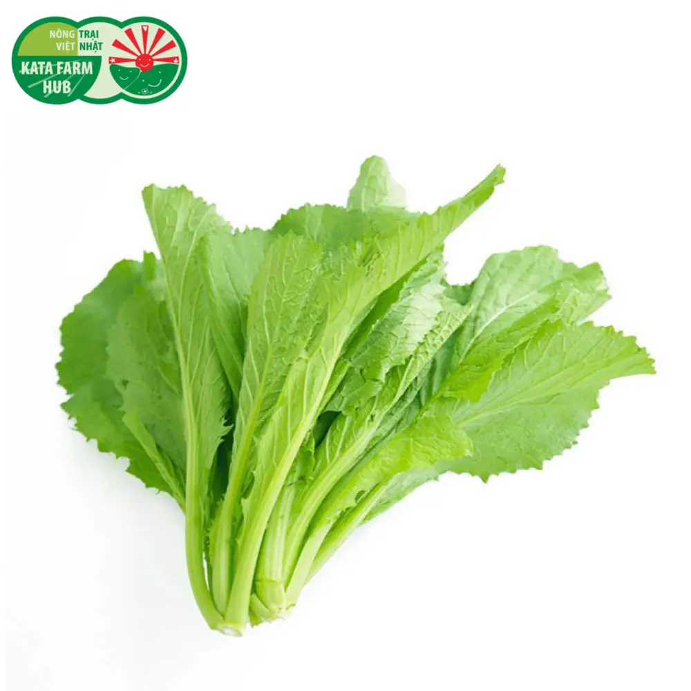 Cải Bẹ Xanh - Mustard Greens (250g) - KATA FARM HUB