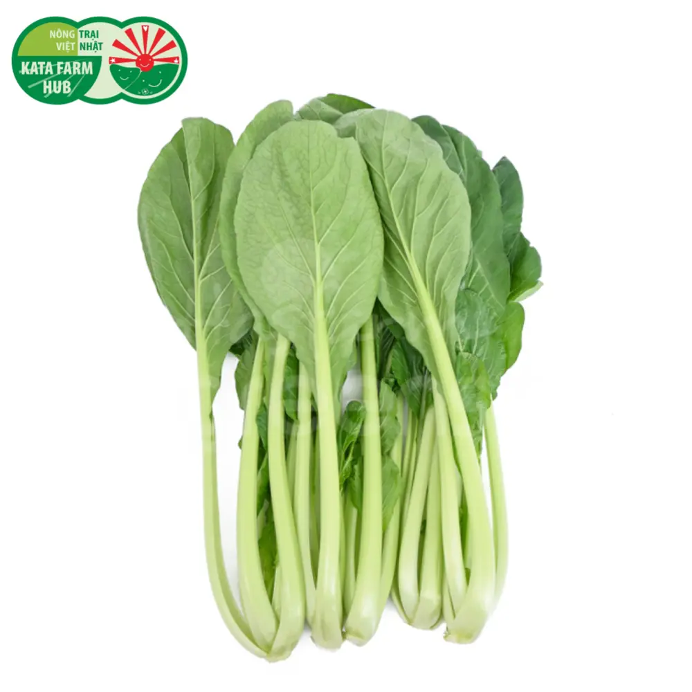 Cải Ngọt - Brassica Integrifolia (250g) - KATA FARM HUB