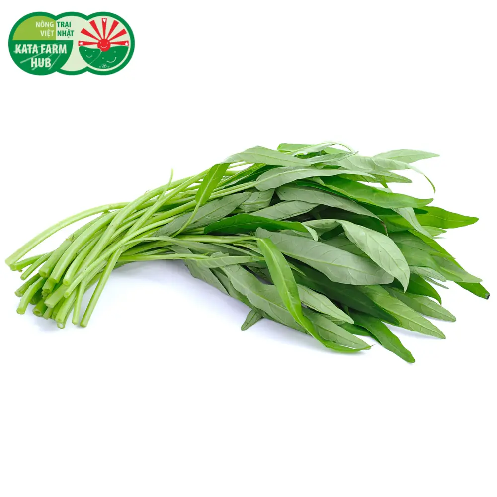 Rau Muống Hạt - Morning Glory (250g) - KATA FARM HUB