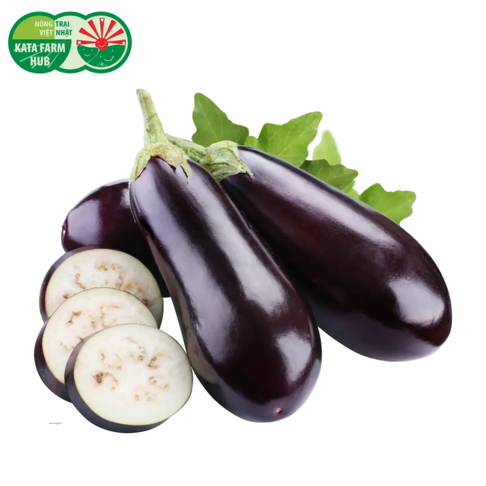 Cà Tím - Eggplant - KATA FARM HUB