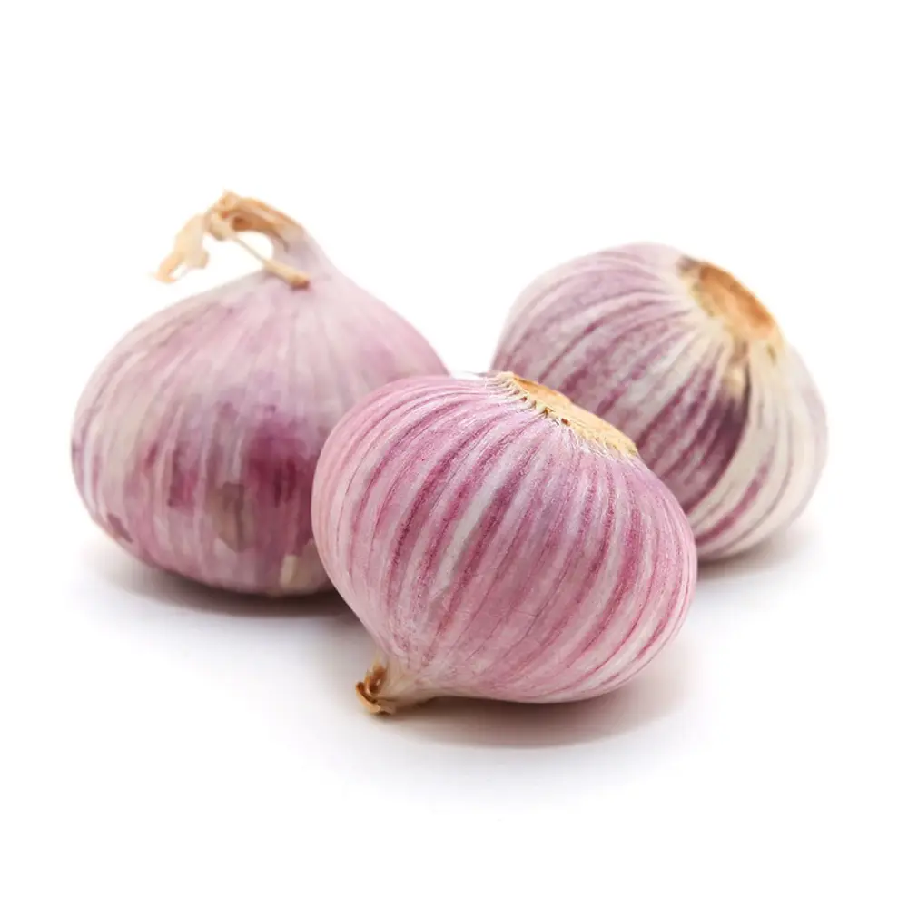 Tỏi Cô Đơn - Solo Garlic - NONBRAND